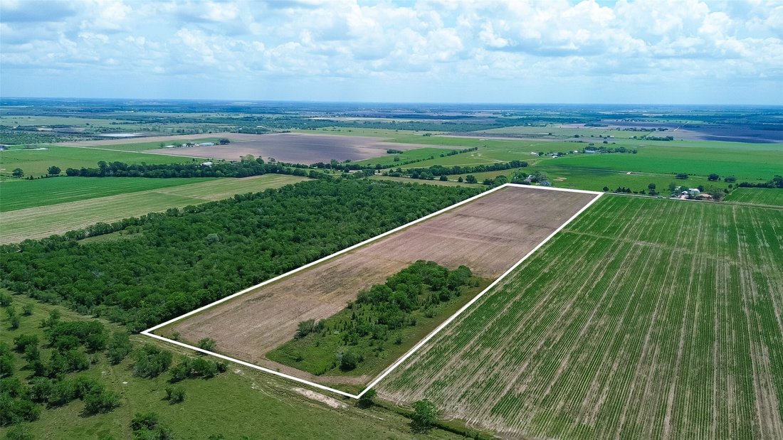 Land in Beasley, Texas, United States 5 - 17739087