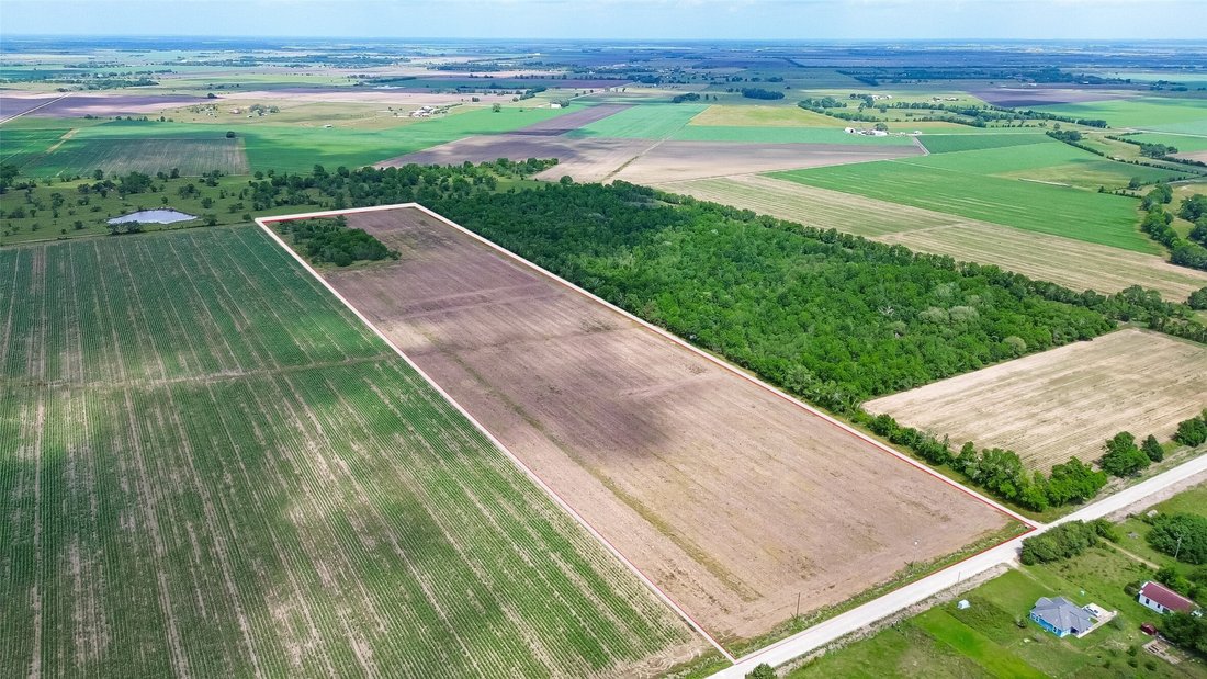 Land in Beasley, Texas, United States 3 - 17739087