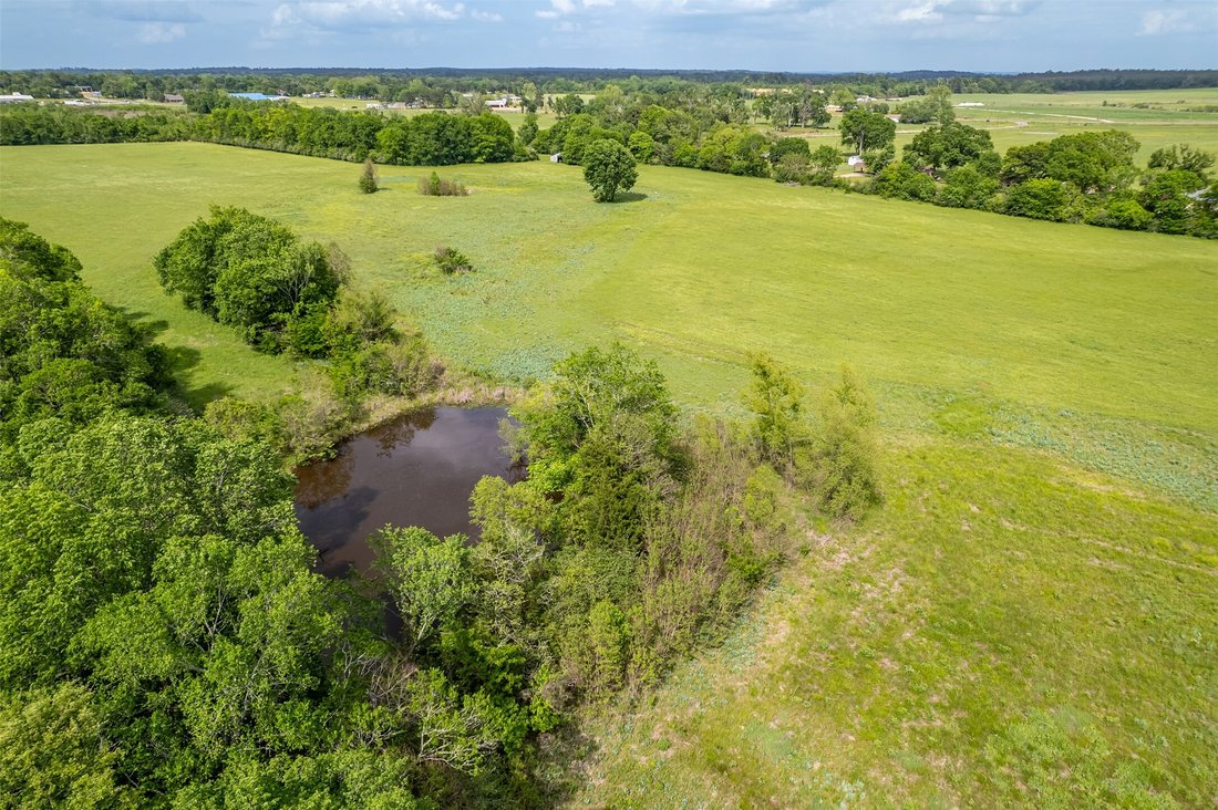 Corps de ferme à Alto, Texas, États-Unis 1 - 17739223