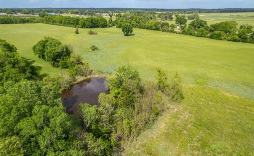 Farm Ranch in Alto, Texas, United States 1