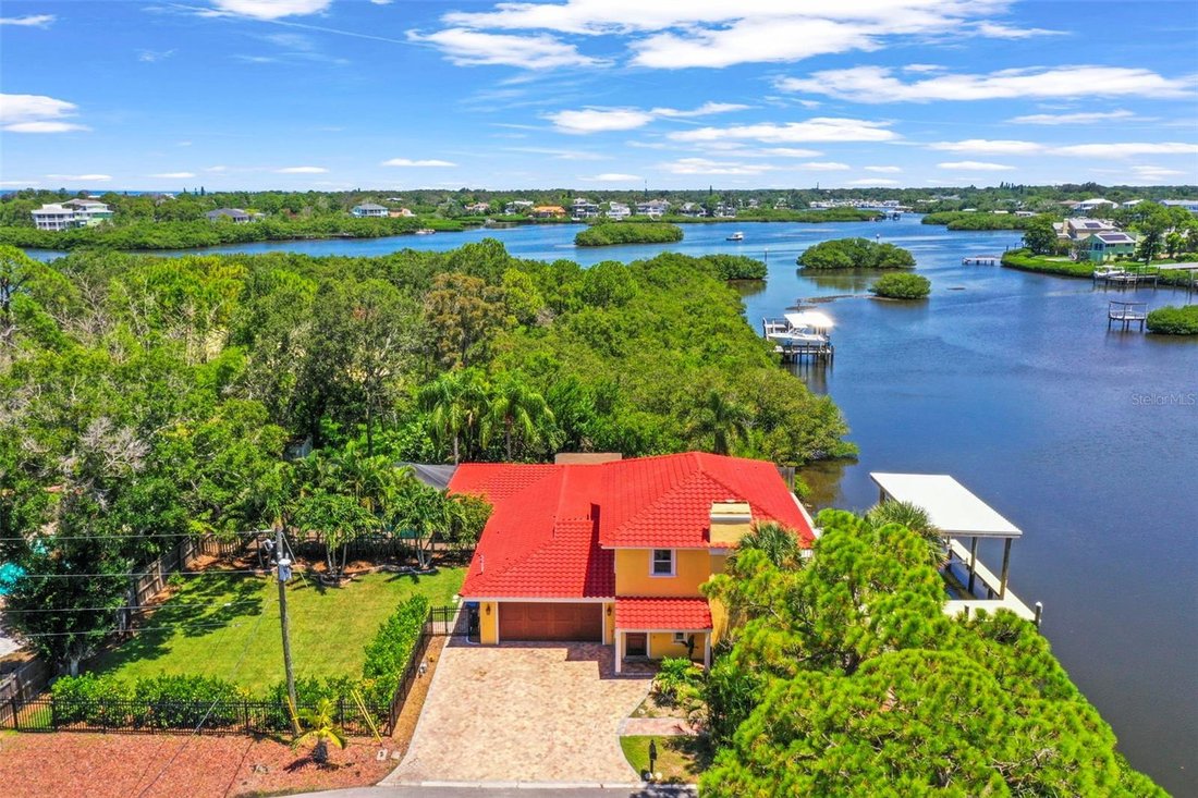 House in Palm Harbor, Florida, United States 1 - 17740095