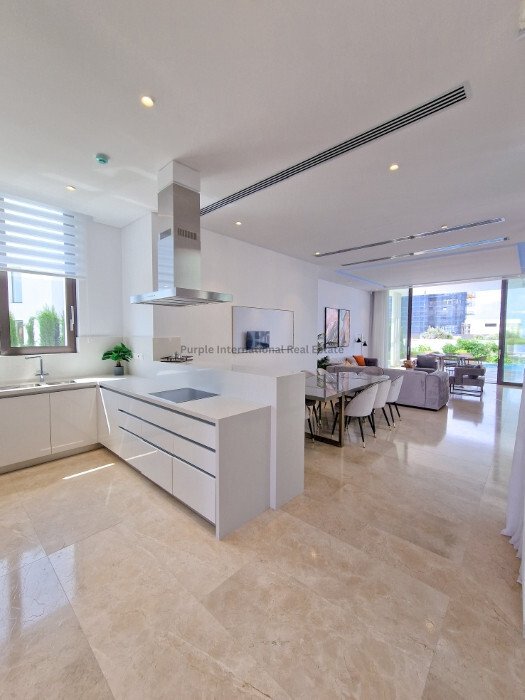 Villa in Paphos, Paphos, Cyprus 3 - 17740981