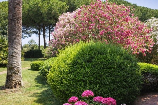 Villa in Giannella - Saline Sadum, Orbetello, Tuscany 4 - 17741354