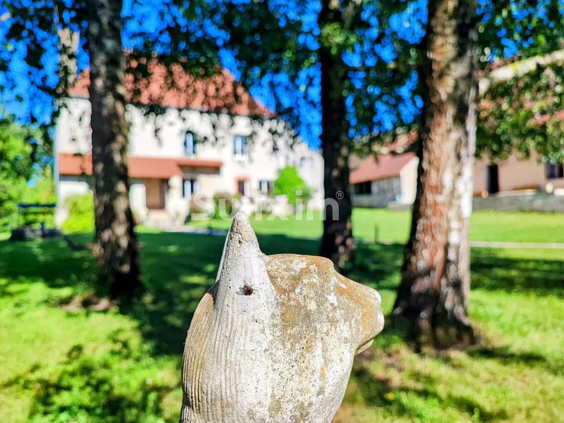 Estate in Seurre, Bourgogne – Franche-Comté, France 4 - 17741522
