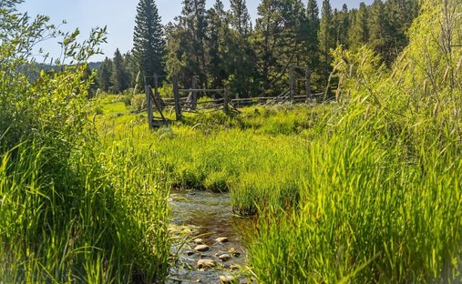 Terrain à Bozeman, Montana, États-Unis 1