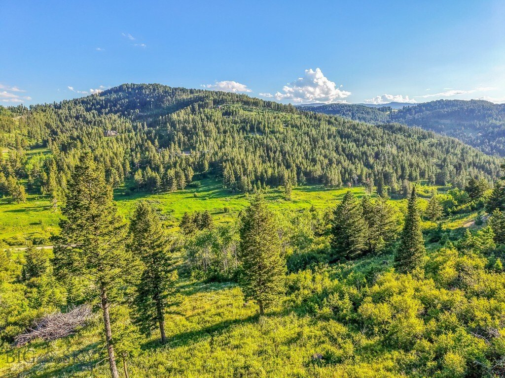 Land in Bozeman, Montana, United States 5 - 17741824