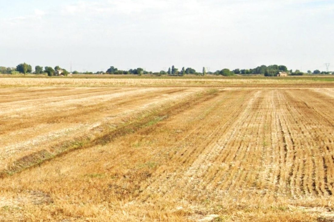 Land in Pievequinta - Carpinello - Casemurate, Forlì, Emilia-Romagna 1 - 17742116