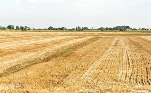 Terrain à Pievequinta - Carpinello - Casemurate, Forlì, Émilie-Romagne 1