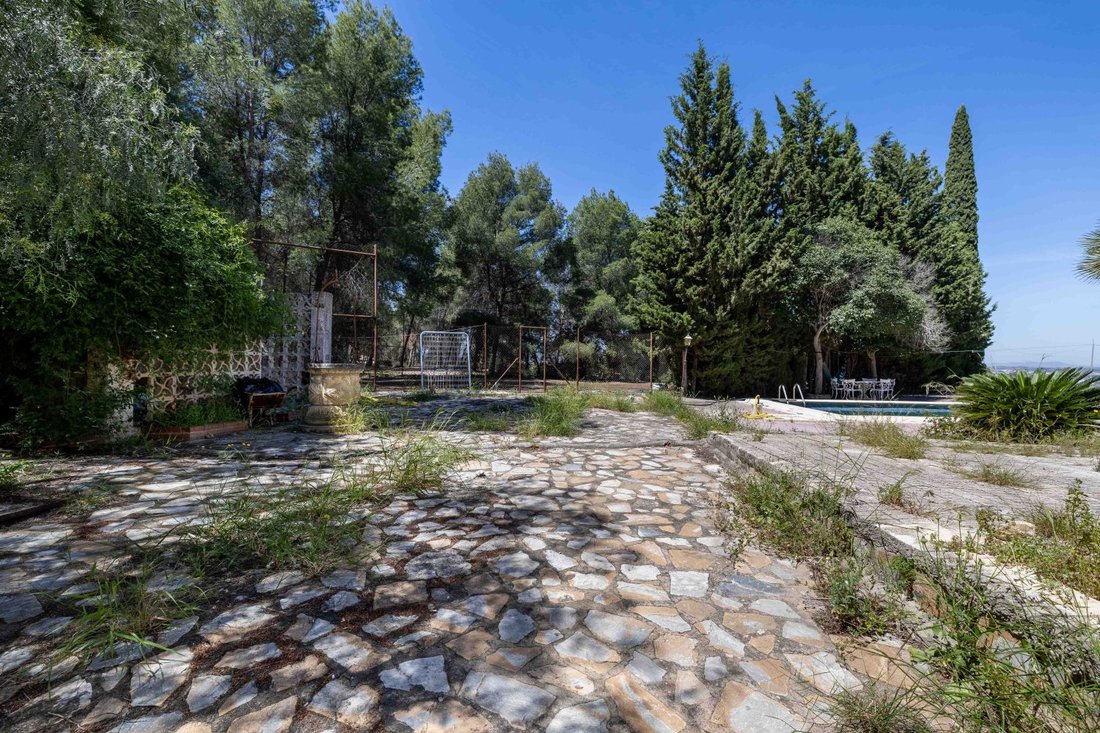 Land in Murcia, Región de Murcia, Spain 4 - 17742332