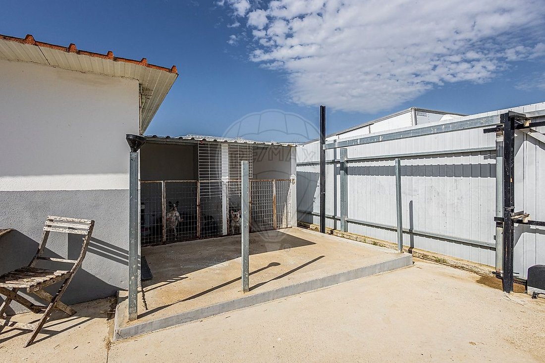 House in Ereira e Lapa, Santarem District, Portugal 4 - 17742279