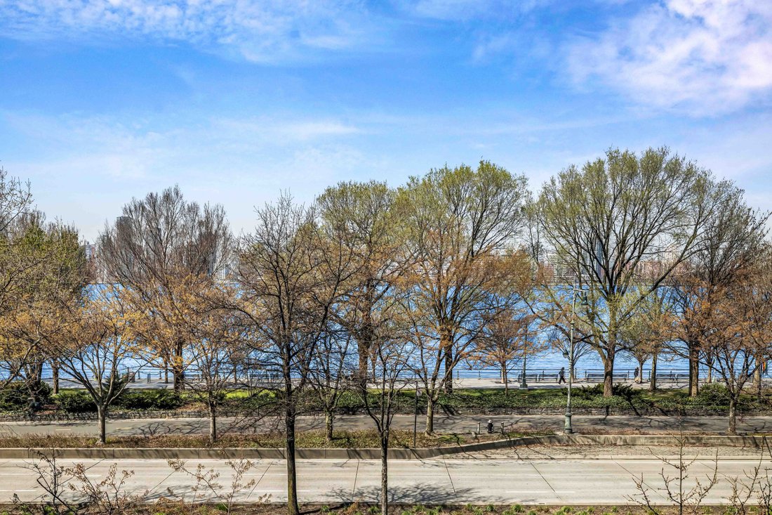 Condo in New York, New York, United States 4 - 17742418