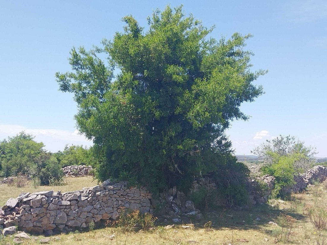 Farm Ranch in Villa Serrana, Lavalleja Department, Uruguay 5 - 17743060