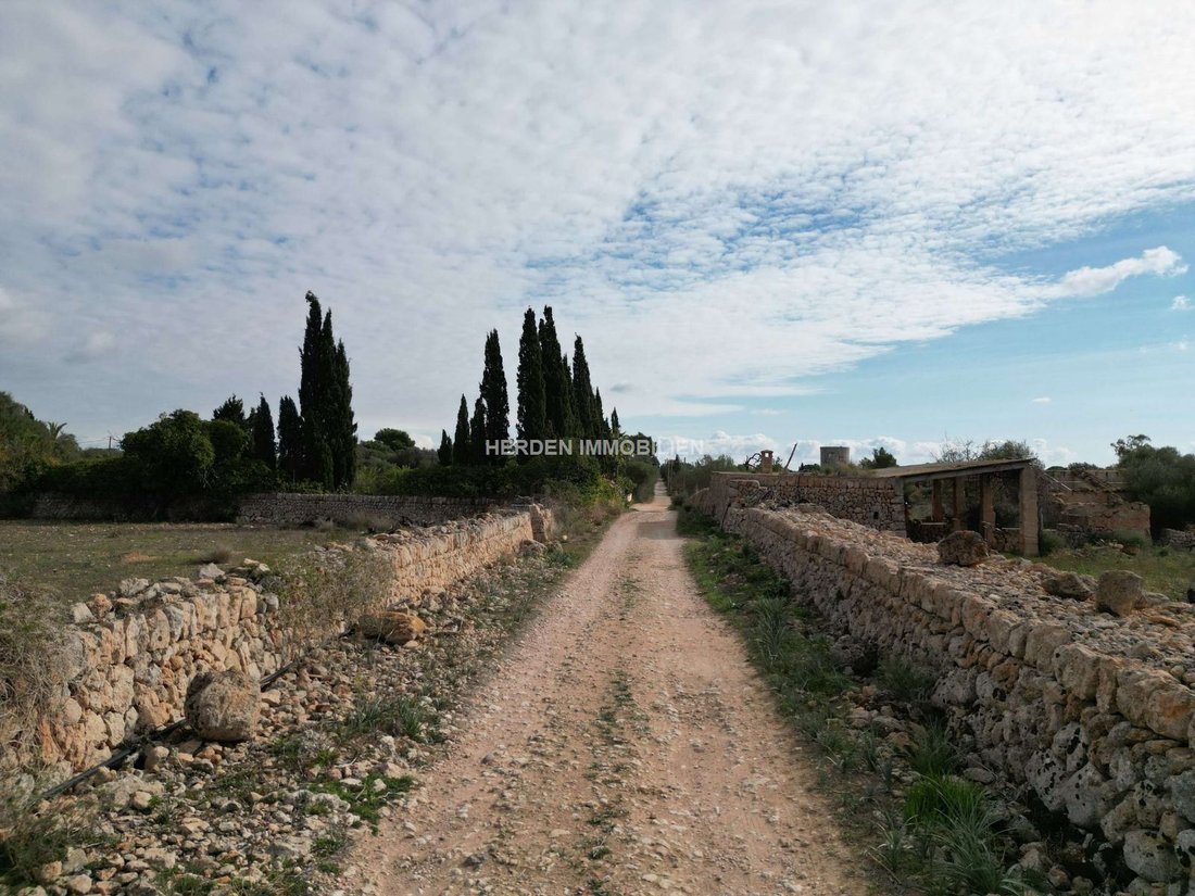 Terreno a Llucmajor, Isole Baleari, Spagna 1 - 17746845