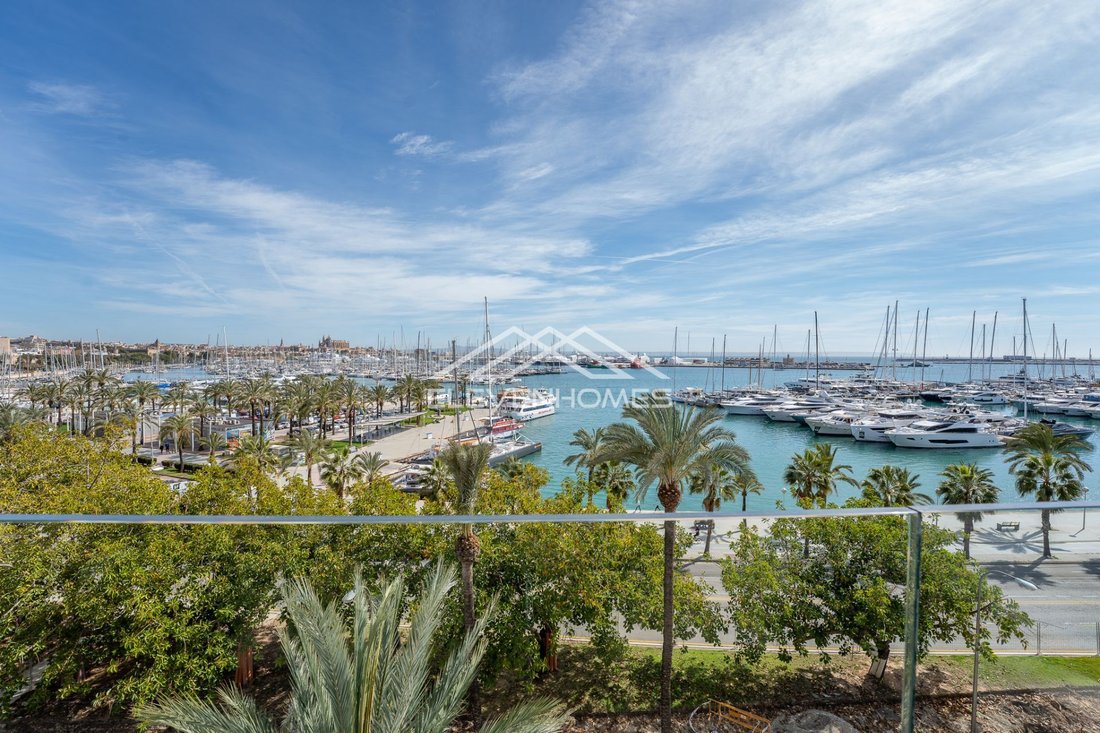 Apartment in Palma, Balearic Islands, Spain 3 - 17747869
