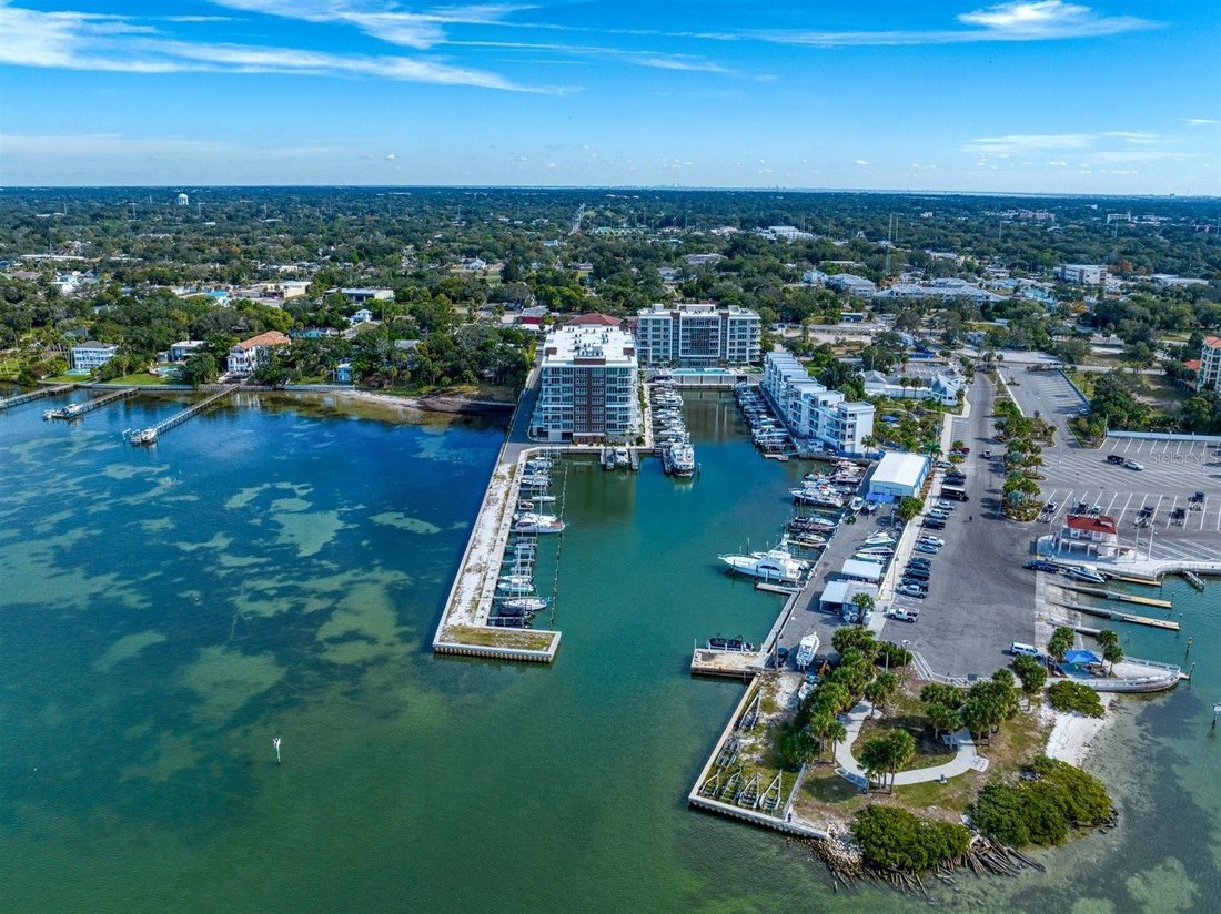 Condo in Clearwater, Florida, United States 5 - 17743640