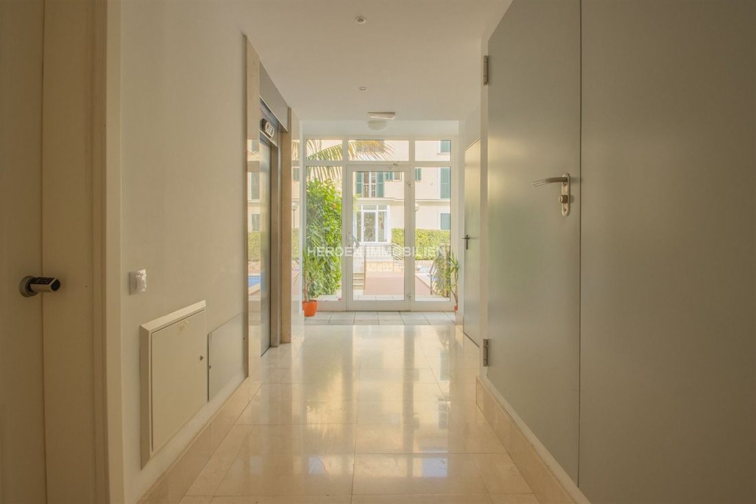 Apartment in Cala Fornells, Calvia, Balearic Islands 4 - 17748790