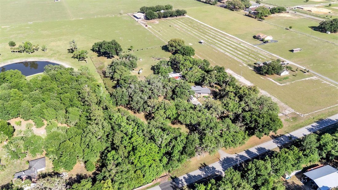 House in Dade City, Florida, United States 5 - 17407353