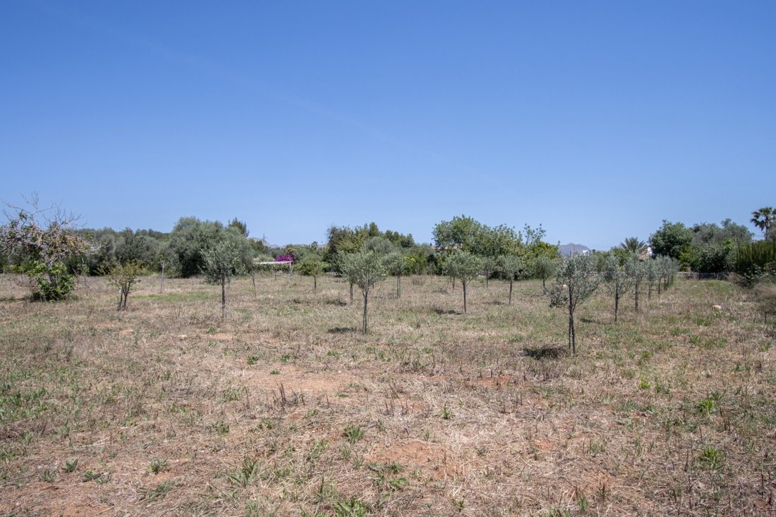 Land in Pollenca, Balearic Islands, Spain 1 - 17746801