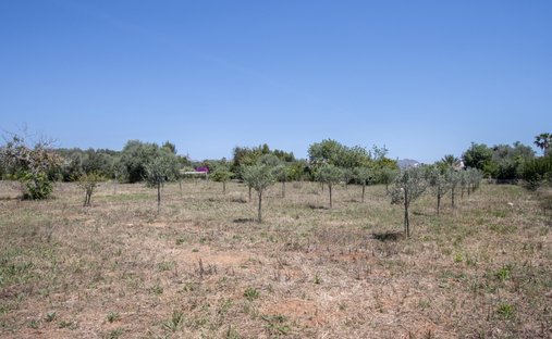 Land in Pollenca, Balearic Islands, Spain 1