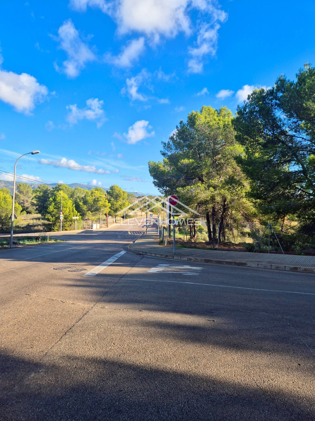 Land in Calvia, Balearic Islands, Spain 3 - 17746863