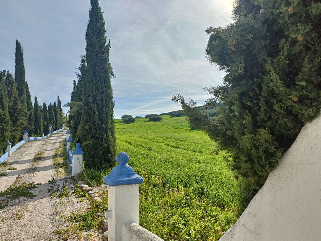 House in Villanueva Mesia, Andalusia, Spain 4 - 17737569