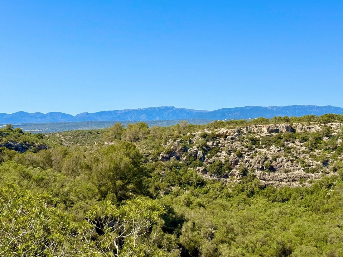 Land in Palma, Balearic Islands, Spain 2 - 17746838