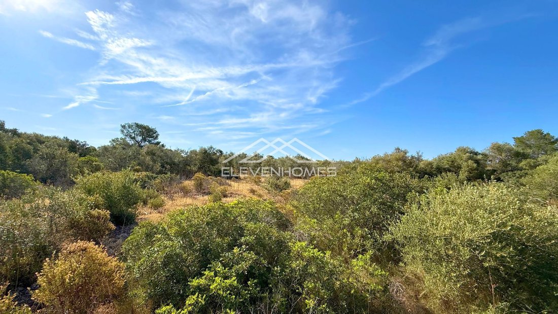 Land in Palma, Balearic Islands, Spain 5 - 17746820