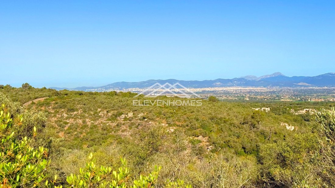 Land in Palma, Balearic Islands, Spain 2 - 17746820