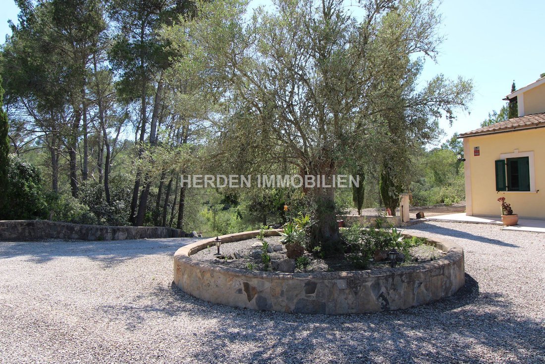 Finca in Montuiri, Balearic Islands, Spain 4 - 17747589