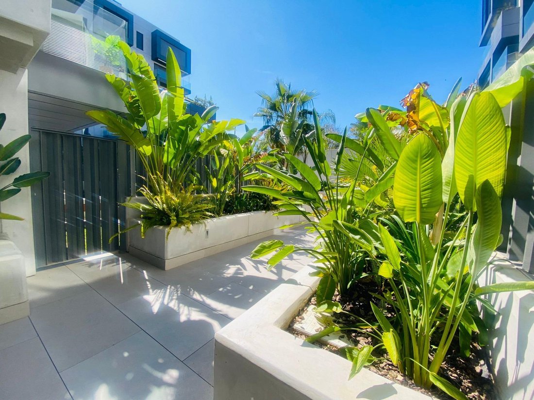 Apartment in Nou Llevant, Palma, Balearic Islands 4 - 17749790