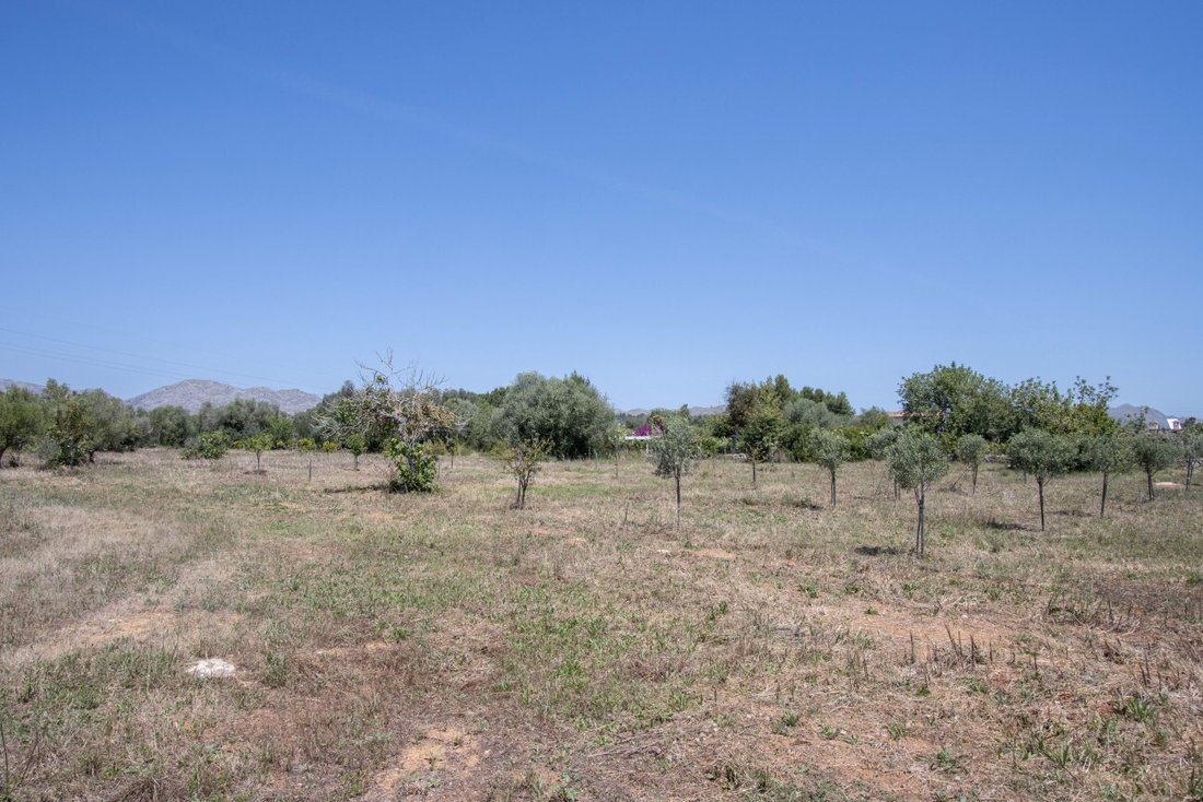 Land in Pollenca, Balearic Islands, Spain 4 - 17746801