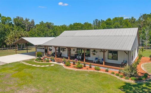 Land in Micanopy, Florida, United States 1