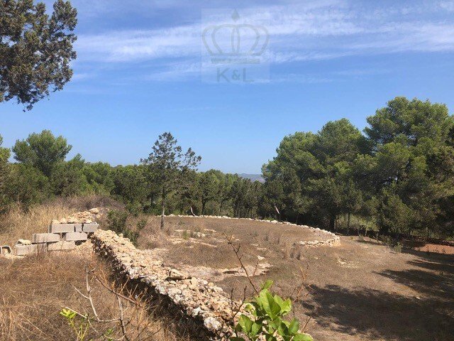 House in Sant Josep de sa Talaia, Balearic Islands, Spain 2 - 17749830