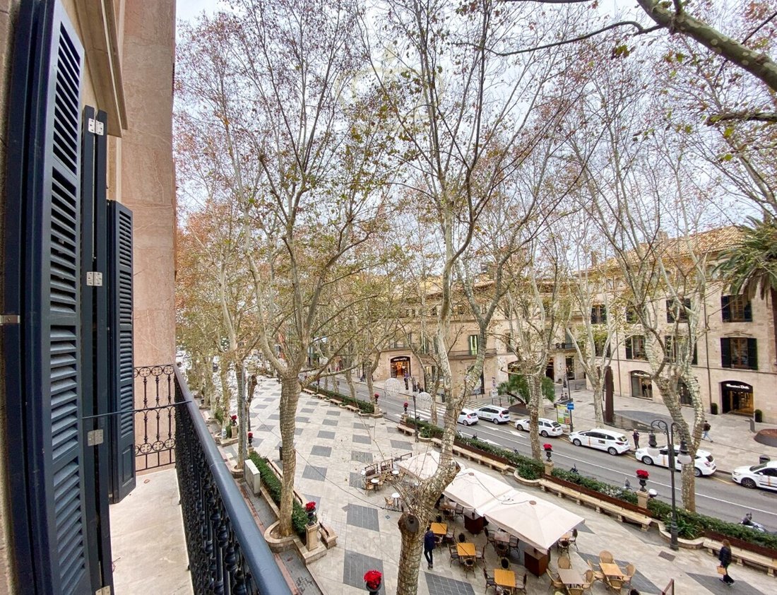Apartment in Palma, Balearic Islands, Spain 1 - 17750165