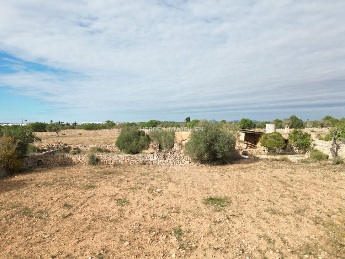 Terreno a Llucmajor, Isole Baleari, Spagna 5 - 17746845
