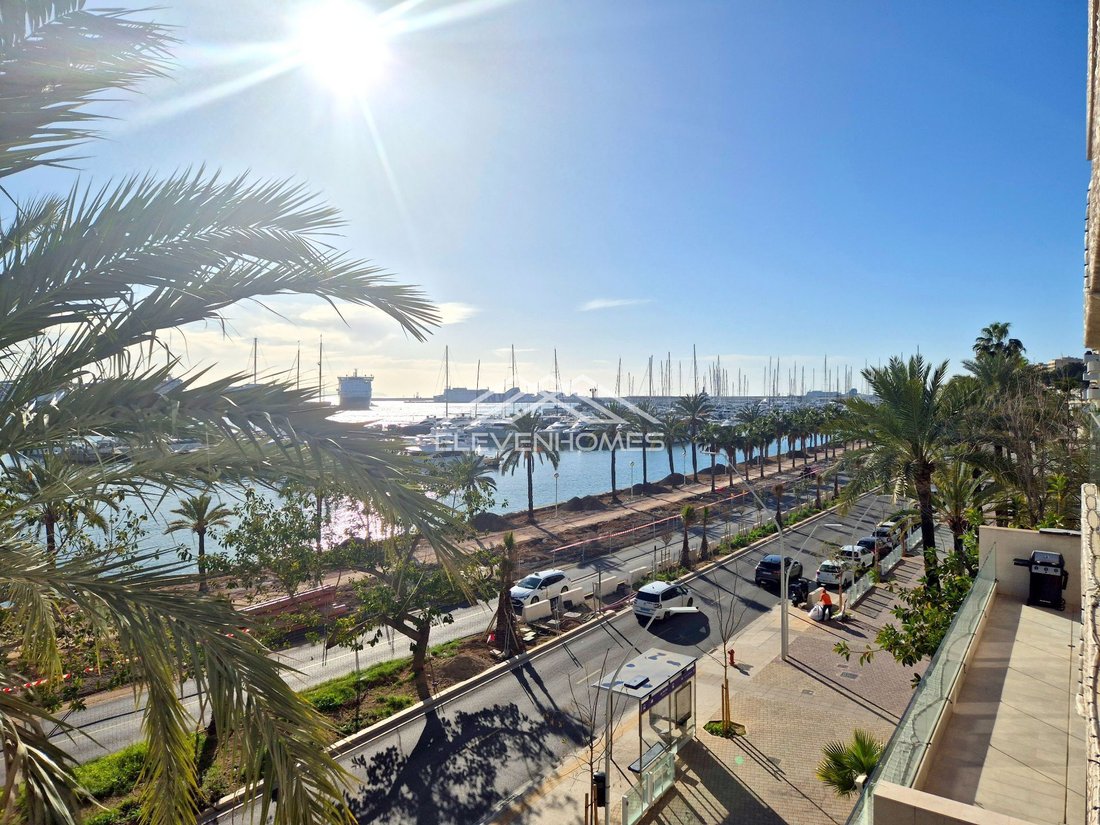 Apartment in Palma, Balearic Islands, Spain 1 - 17747973