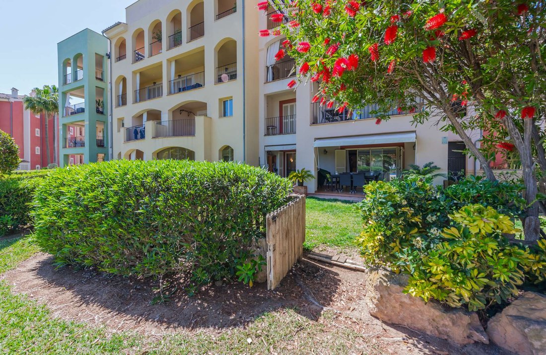 Apartment in Rotes Velles, Calvia, Balearic Islands 2 - 17744201