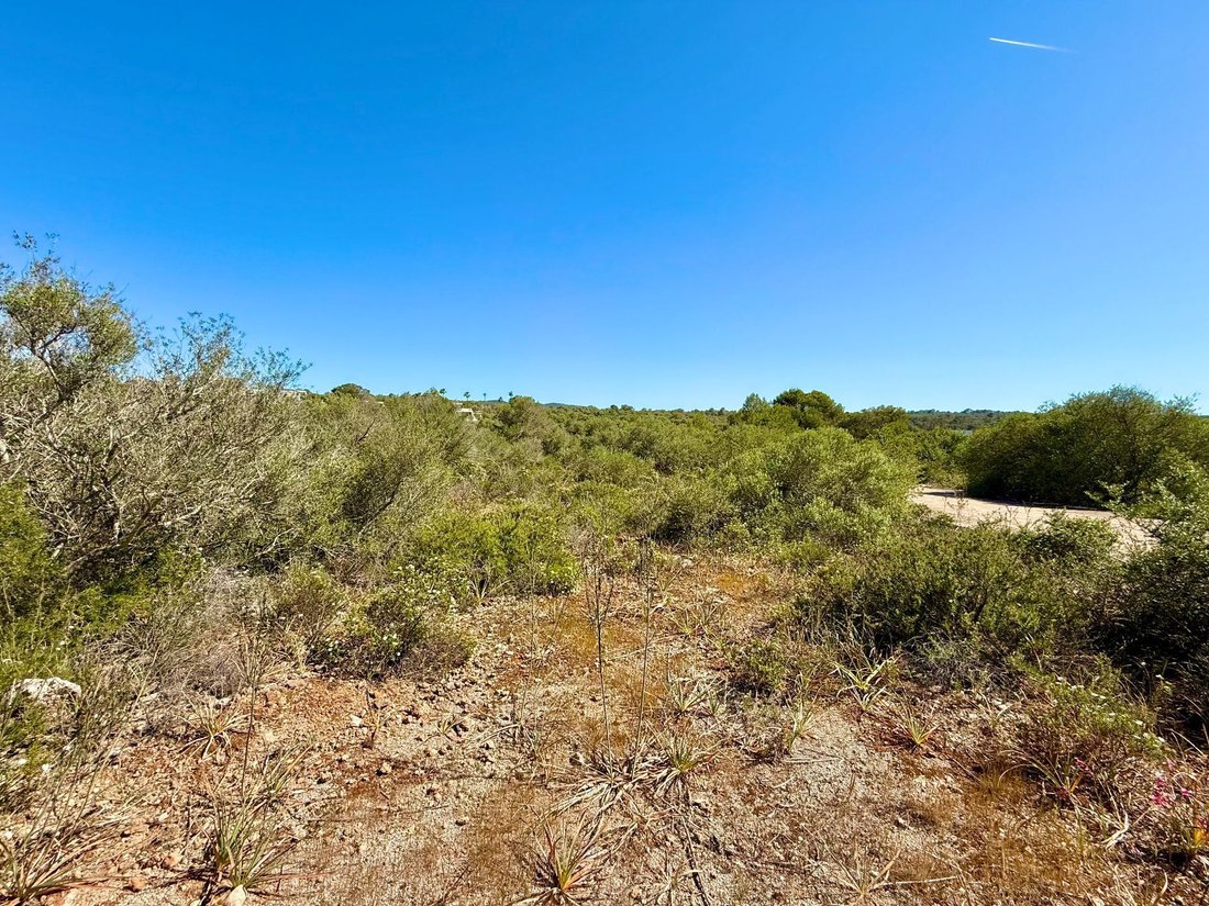 Land in Palma, Balearic Islands, Spain 1 - 17746852