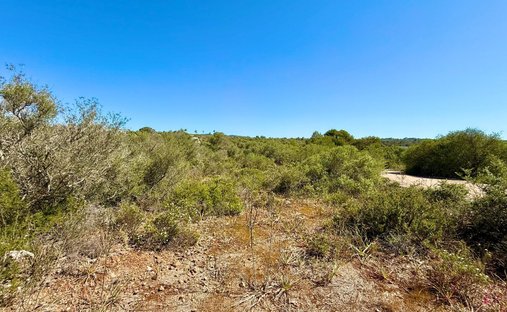 Land in Palma, Balearic Islands, Spain 1