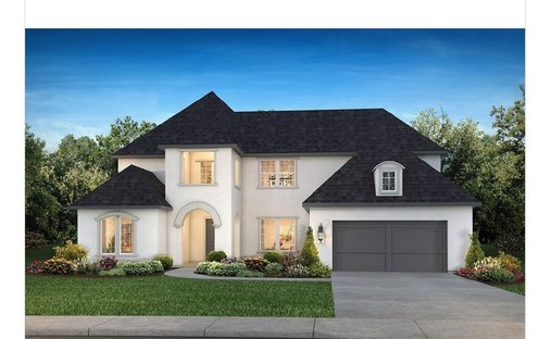 House in Conroe, Texas, United States 1