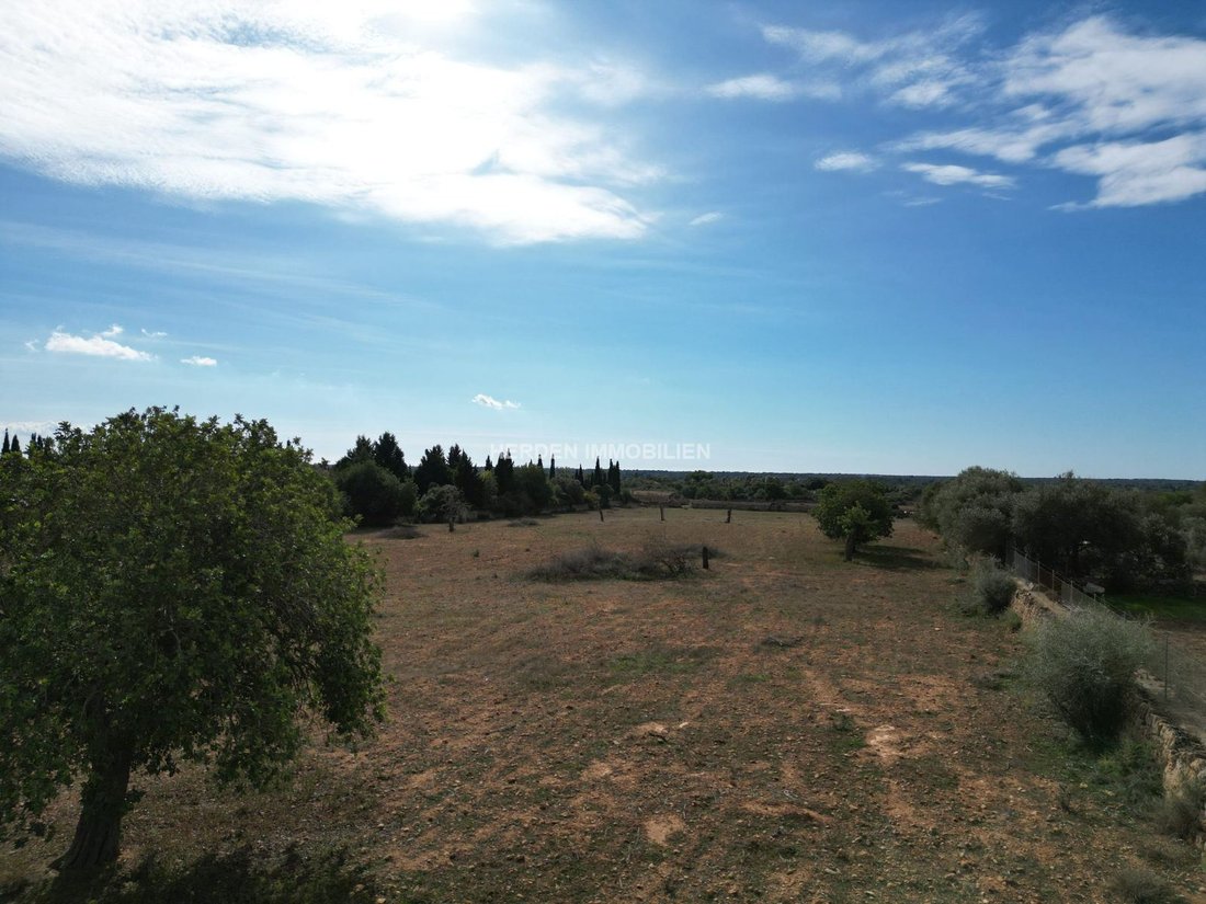 Terreno a Llucmajor, Isole Baleari, Spagna 2 - 17746845