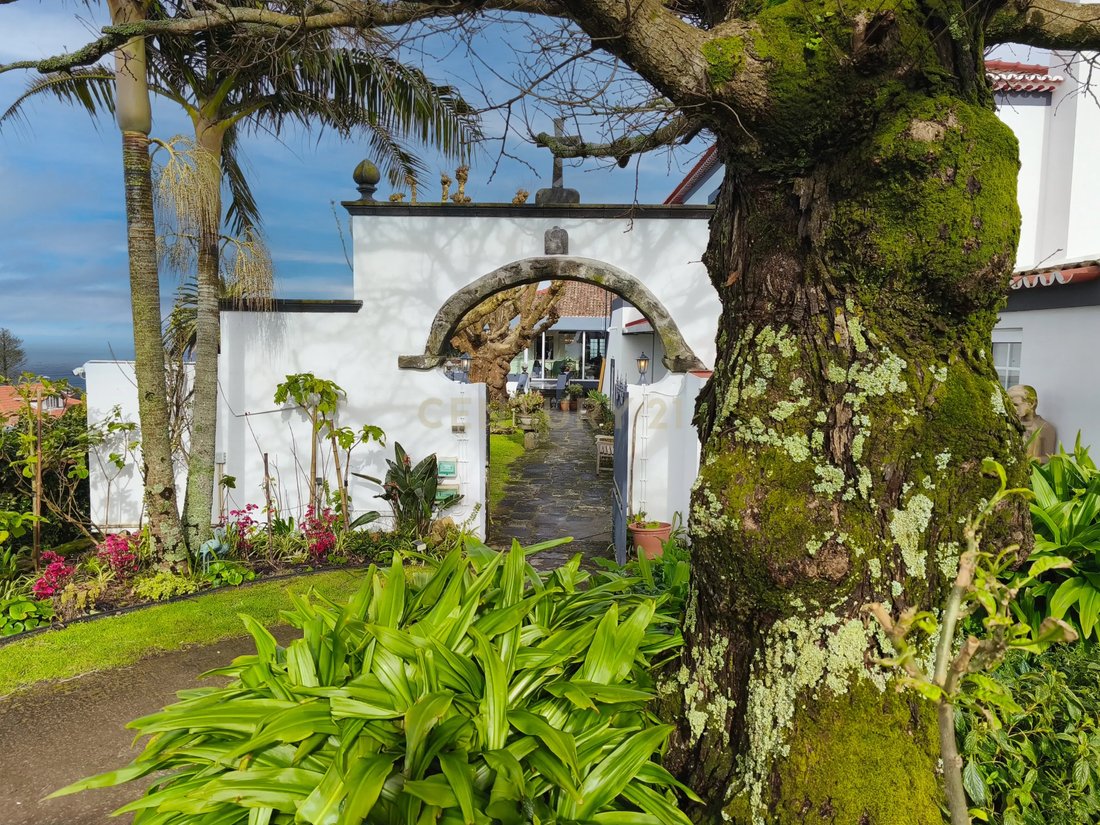 Villa in Capelas, Azores, Portugal 4 - 15506656
