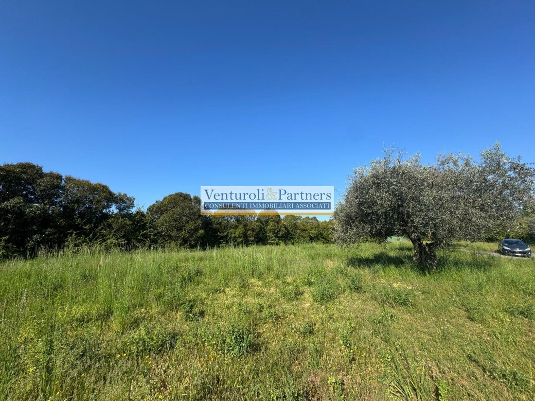 Land in Manerba del Garda, Lombardy, Italy 5 - 17750790