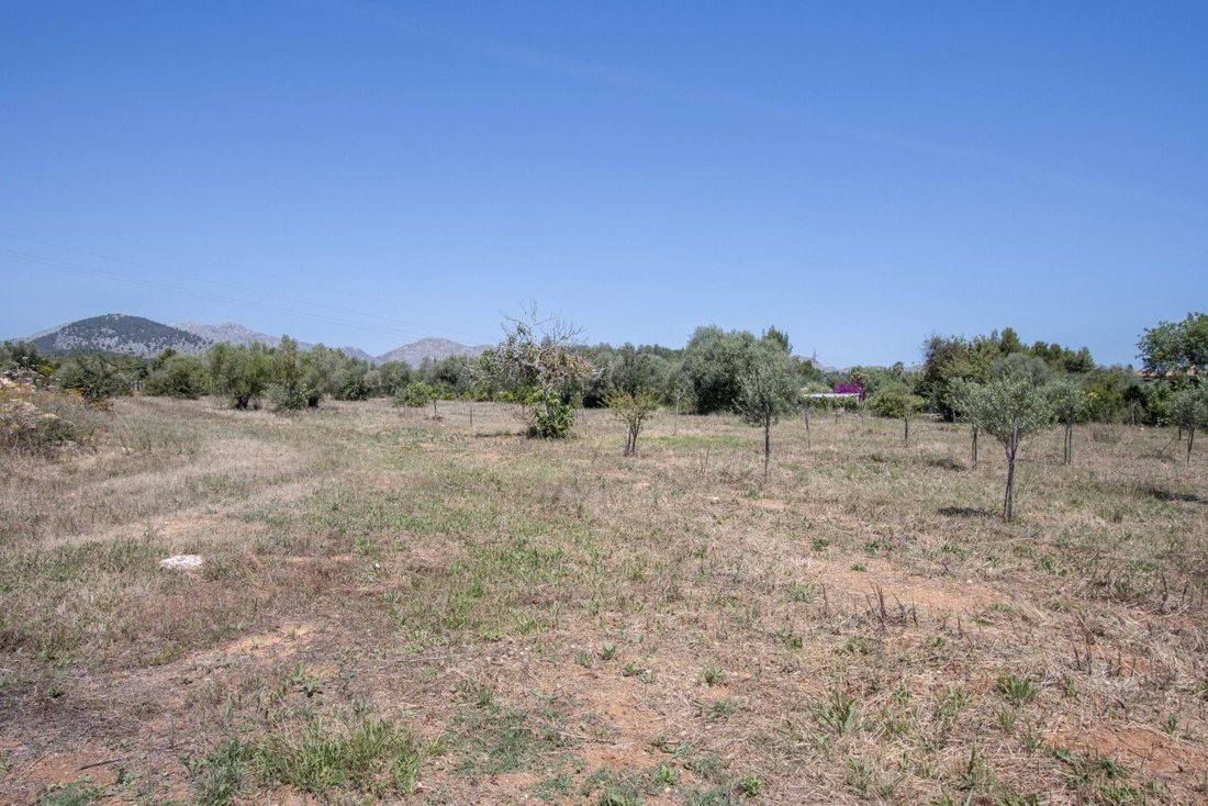 Land in Pollenca, Balearic Islands, Spain 2 - 17746801