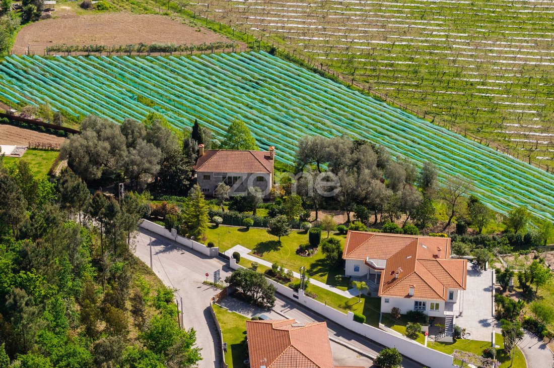 Finca in Geraz do Minho, Braga, Portugal 3 - 17750546
