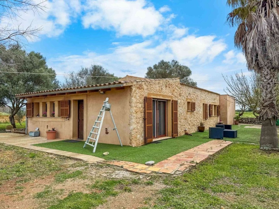Finca in Felanitx, Balearic Islands, Spain 1 - 17748329