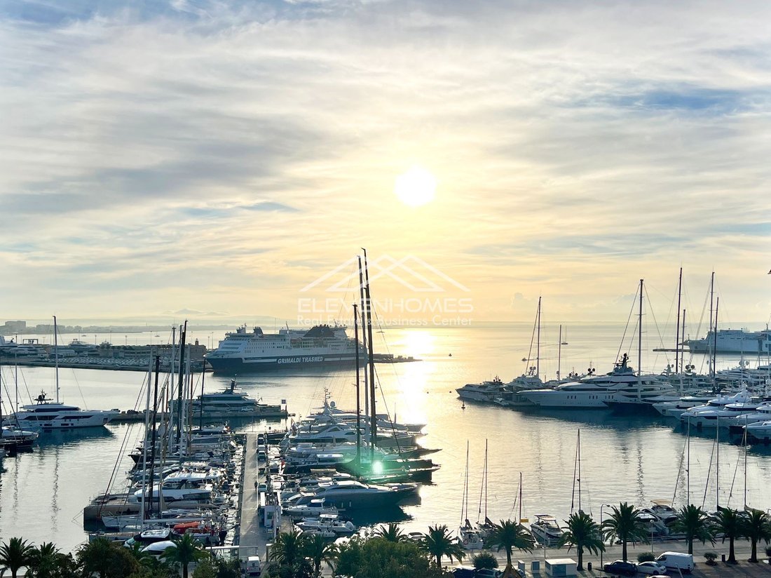 Apartment in Palma, Balearic Islands, Spain 1 - 17748550