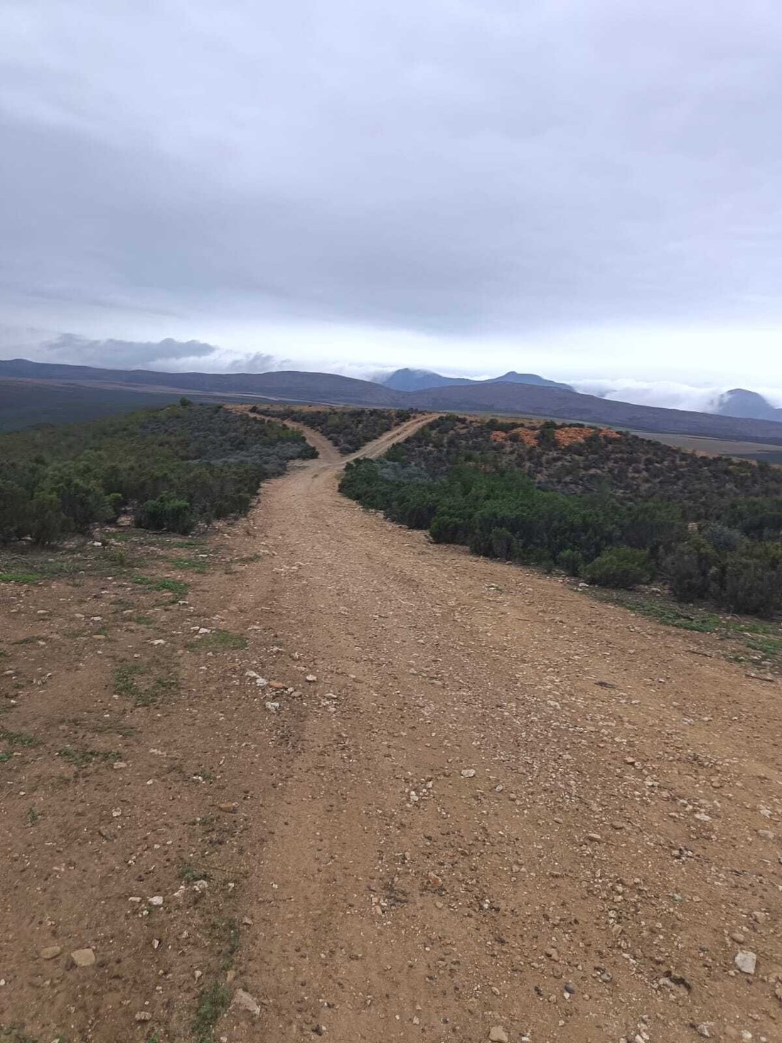 Farm Ranch in Oudtshoorn, Western Cape, South Africa 1 - 17746048