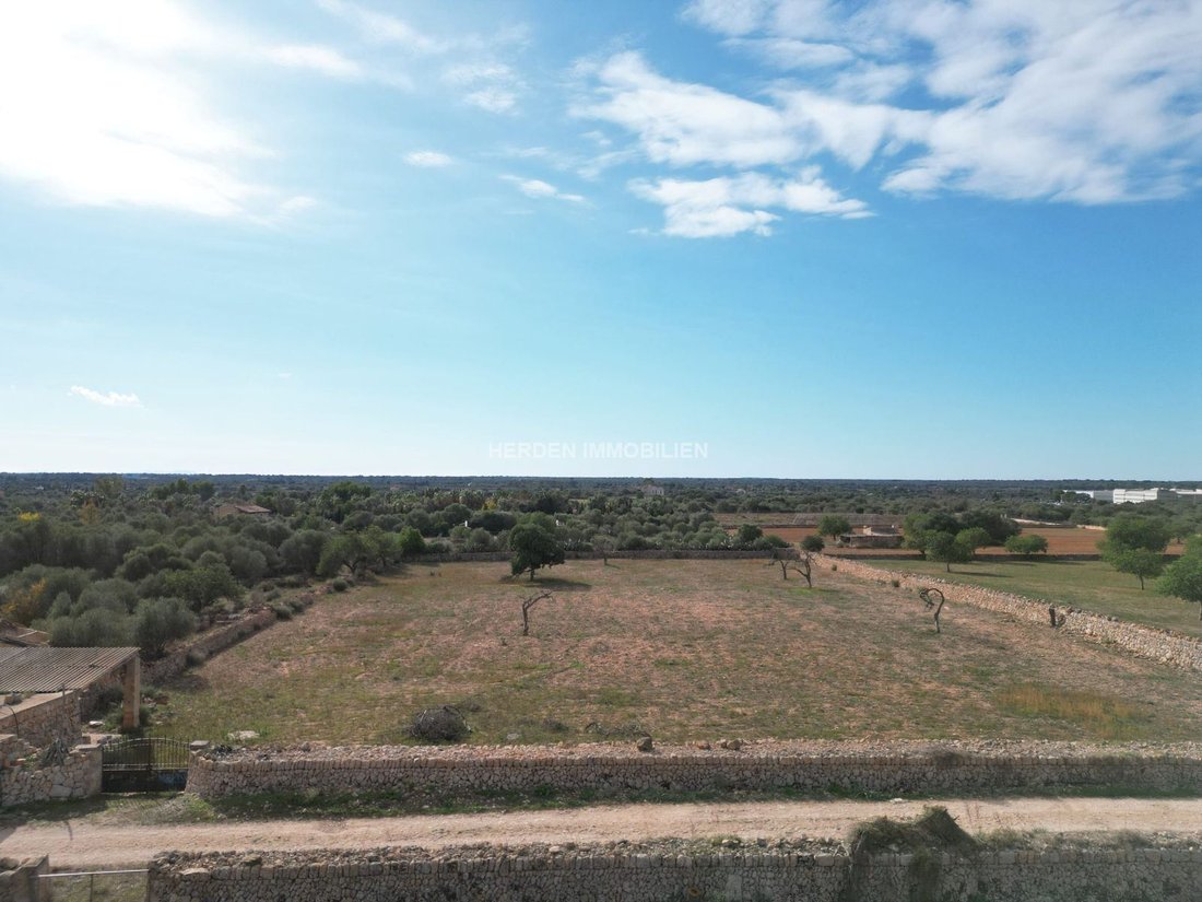 Terreno a Llucmajor, Isole Baleari, Spagna 3 - 17746845