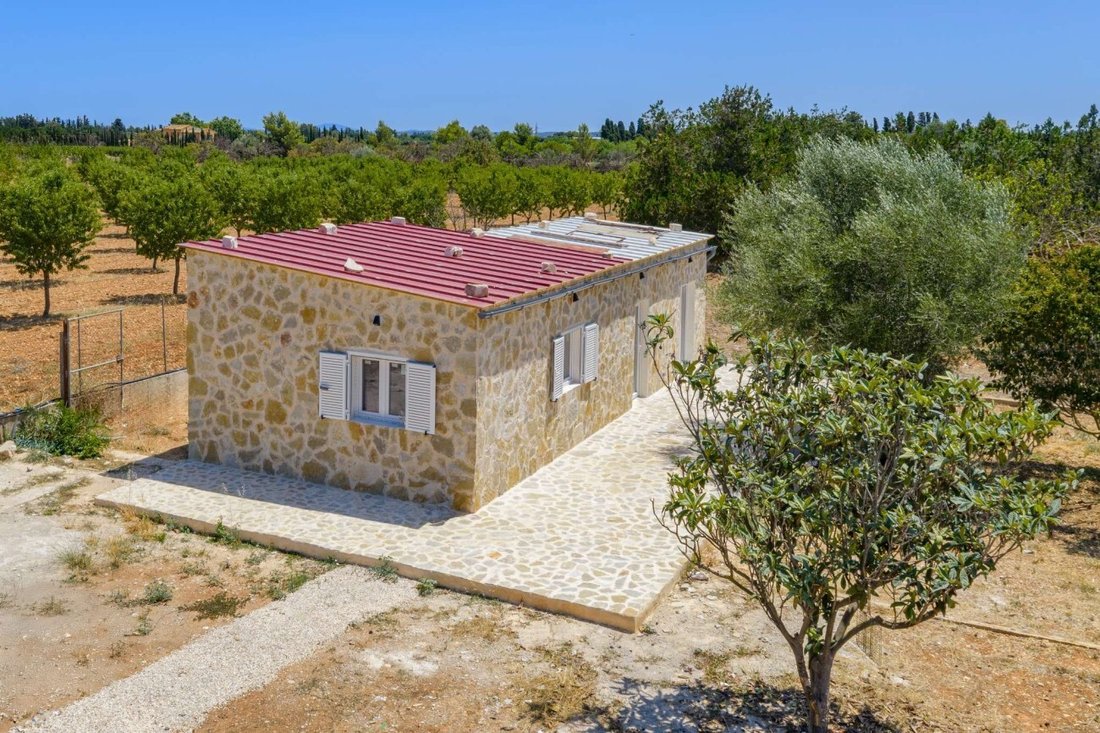 Estate in Binissalem, Balearic Islands, Spain 2 - 17747399